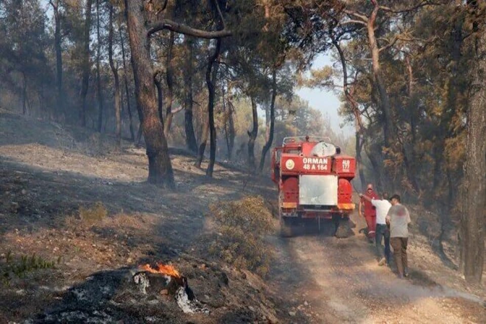 &Uuml;lke genelindeki 6 orman yangını kontrol altına alındı, Tunceli'de tek