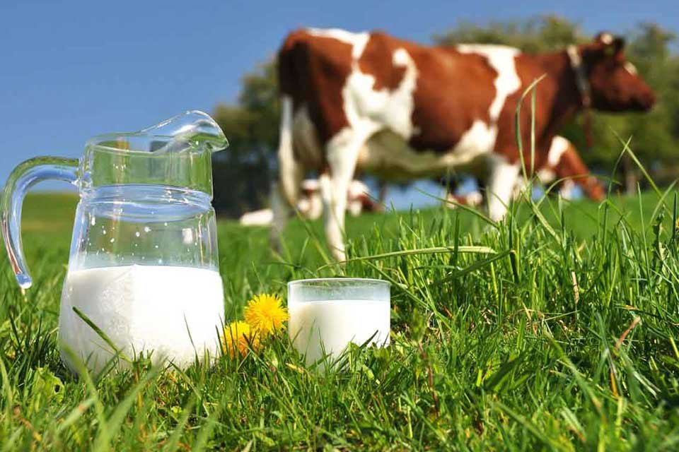 Marketlerde bir litre s&uuml;t 14 liradan satılırken, &ccedil;ift&ccedil;i bir litre