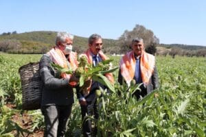 İzmir'in Urla il&ccedil;esinde bu yıl 7'ncisi d&uuml;zenlenen Uluslararası Urla Enginar