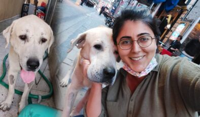 Umut kesilen köpeği Büyükşehir veterinerleri hayata döndürdü