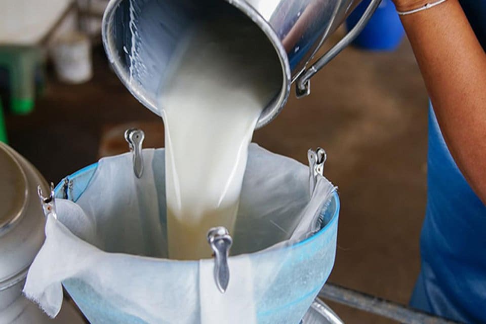&Ccedil;iğ s&uuml;t alım fiyatlarının aşağı &ccedil;ekildiğini kaydeden &uuml;reticiler s&uuml;t tozu