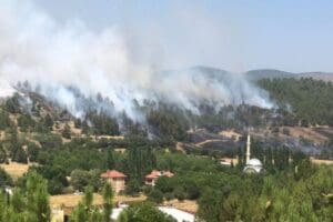 Uşak'ta yerleşim alanına yakın b&ouml;lgede &ccedil;ıkan arazi yangını, ormanlık alana