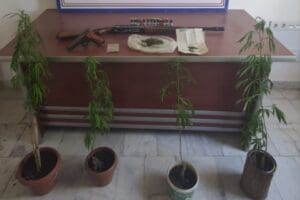MUĞLA'nın K&ouml;yceğiz il&ccedil;esinde, jandarma ekiplerince d&uuml;zenlenen operasyonda uyuşturucu, tabanca ve