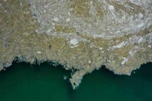 Akdeniz için 'kahverengileşiyor' uyarısında bulunan Marmara Denizi Bilim ve Teknik