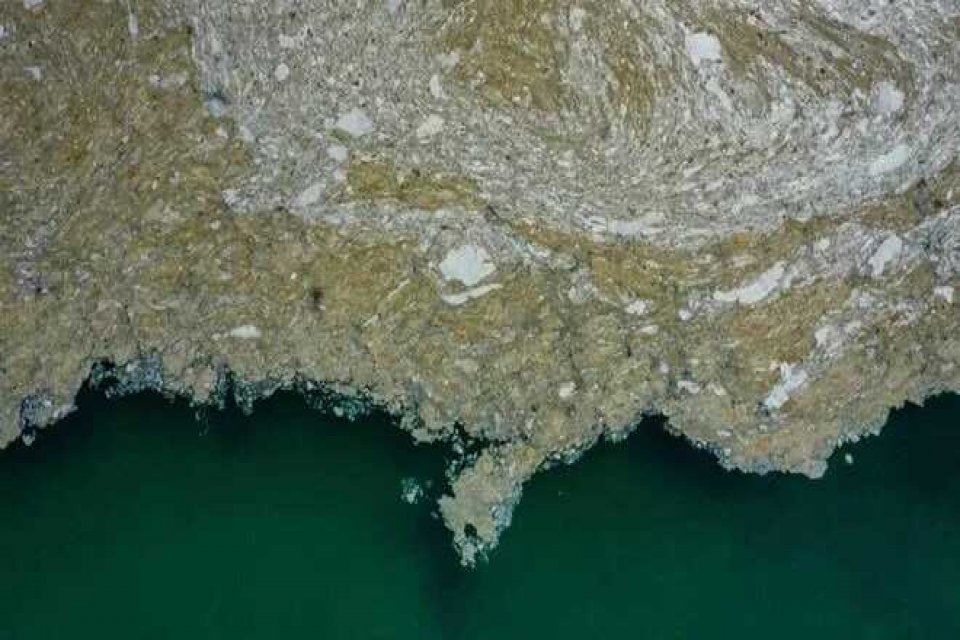 Akdeniz için 'kahverengileşiyor' uyarısında bulunan Marmara Denizi Bilim ve Teknik