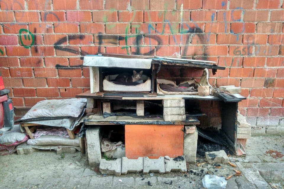 Manisa'nın Turgutlu il&ccedil;esinde, mahalleli tarafından sokak kedileri i&ccedil;in yapılan kul&uuml;beler,