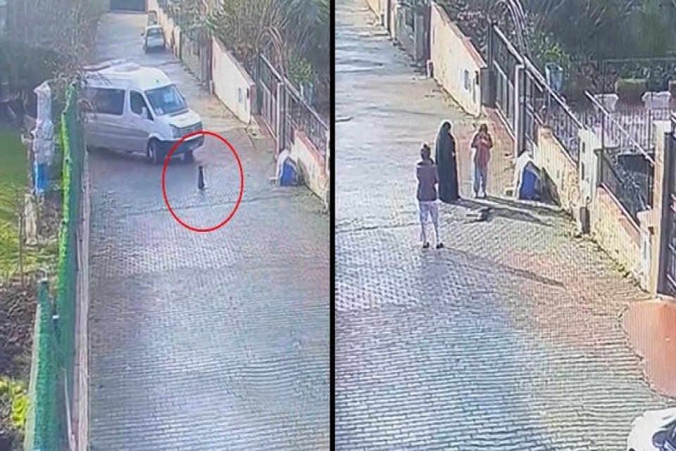 Arnavutk&ouml;y'de, bir sitenin i&ccedil;erisinde&nbsp;servis minib&uuml;s&uuml;, sokağın ortasında duran k&ouml;peği ezdi.