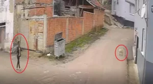 Bursa&rsquo;nın İneg&ouml;l il&ccedil;esinde sokak k&ouml;peği, pompalı t&uuml;fekli O.A. tarafından kovalandıktan