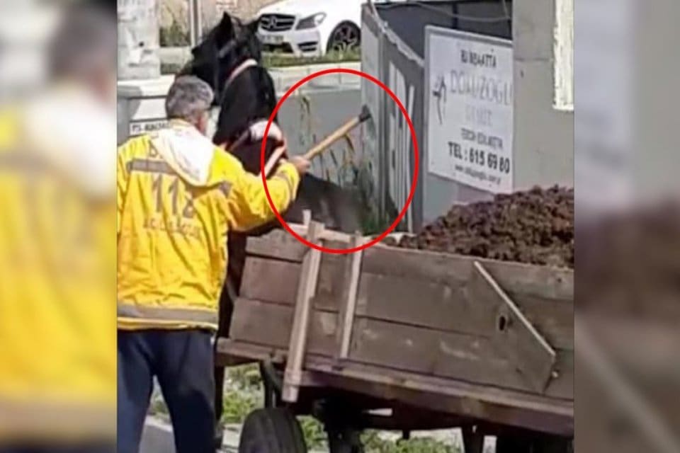 Hatay&rsquo;ın Arsuz il&ccedil;esinde y&uuml;k&uuml; &ccedil;ekemeyen ata keserle defalarca vuran adam,