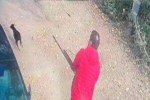 Maltepe&rsquo;de bir kişi elindeki t&uuml;fekle ormanlık alandaki sokak k&ouml;peğine ateş