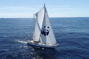 WWF&rsquo;nin Akdeniz&rsquo;i tehdit eden sorunlara dikkat &ccedil;eken Blue Panda yelkenlisi,