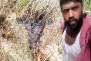 Muğla'nın Ortaca il&ccedil;esinde, turistlik mahalle Dalyan'da &ouml;nceki g&uuml;n &ccedil;ıkan sazlık