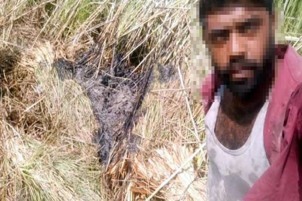 Muğla'nın Ortaca il&ccedil;esinde, turistlik mahalle Dalyan'da &ouml;nceki g&uuml;n &ccedil;ıkan sazlık