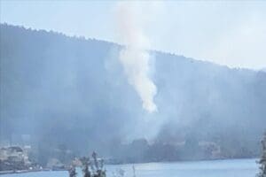 Muğla'da Bodrum il&ccedil;esi sınırlarına yakın Meşelik Mahallesi'ndeki ormanlık alanda hen&uuml;z