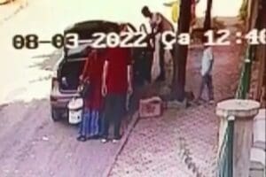 Elazığ&rsquo;da yavru bir kediyi sokağa atan kişiye Hayvan Durum İzleme