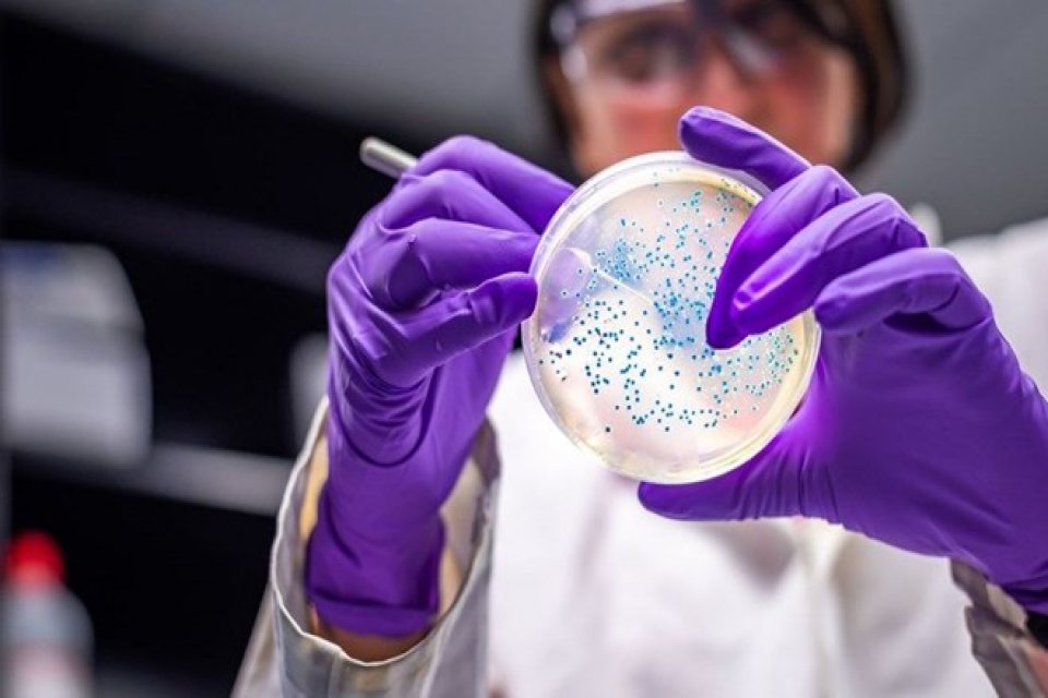 Brezilya'da Covid-19'un 18 mutasyonunun birleşiminden oluşan t&uuml;r&uuml;ne rastlandı. Brezilya'da bilim