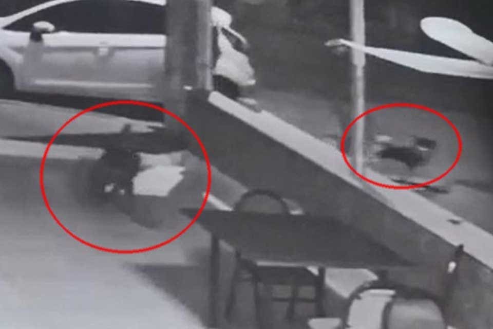 İzmir'in Buca il&ccedil;esinde bir pitbull, Japon spitzi cinsi 'Leo' adlı