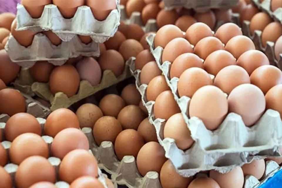 Birka&ccedil; hafta &ouml;nce 30 lira olan 30&rsquo;luk yumurta kolisinin fiyatı