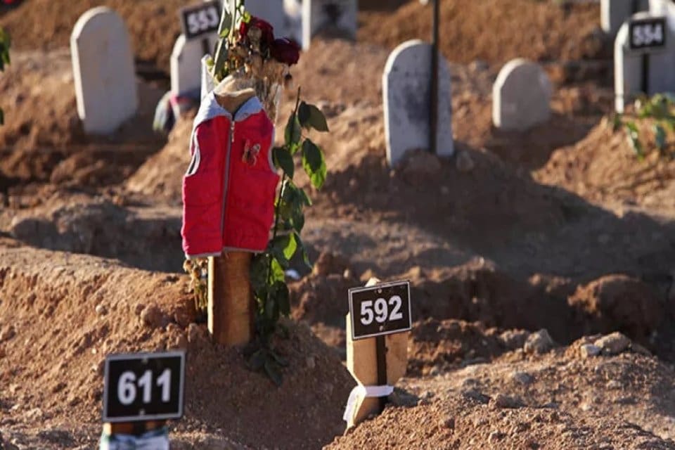 Kahramanmaraş merkezli 10 ili kapsayan 7.7 ve 7.6 b&uuml;y&uuml;kl&uuml;ğ&uuml;ndeki depremlerde