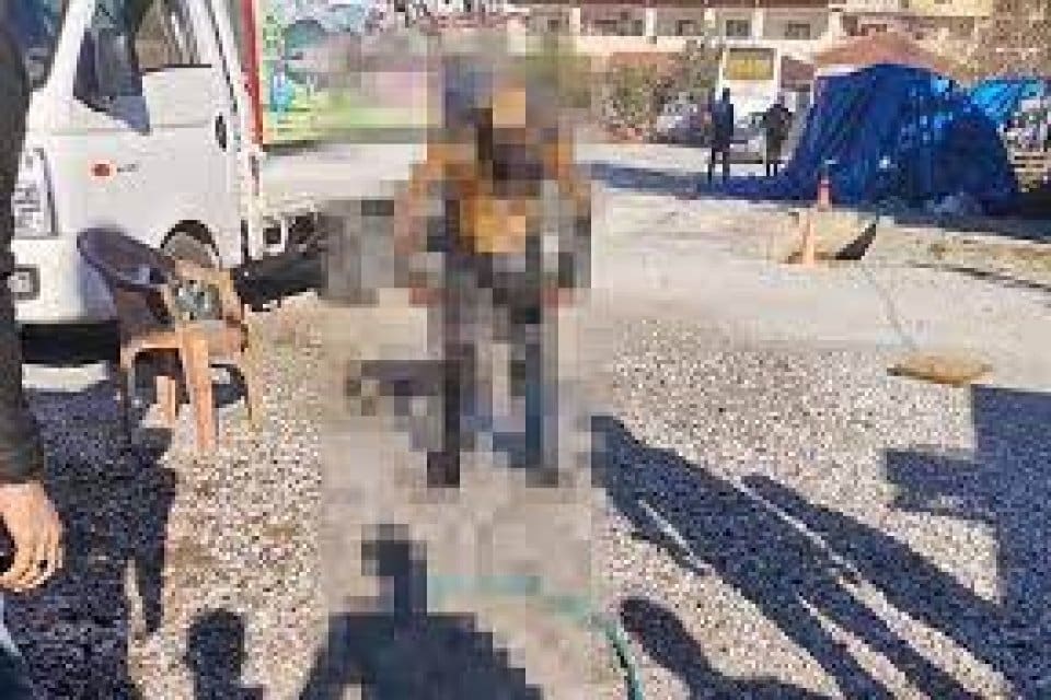 Muğla'nın&nbsp;Marmaris il&ccedil;esinde boş arazide sattığı mangal k&ouml;m&uuml;r&uuml; &ccedil;uvallarını almasını isteyen