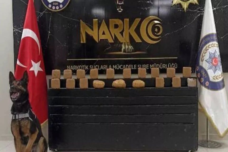Van'da&nbsp;polisin d&uuml;zenlediği operasyonlarda 55,5 kilo uyuşturucu ele ge&ccedil;irildi, narkotik k&ouml;peklerinin&nbsp;de