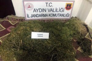 Aydın&rsquo;da, jandarma ekiplerinin operasyonunda, evin bah&ccedil;esinde toprağa g&ouml;m&uuml;l&uuml; 15 kilo