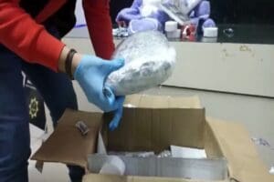 'K&ouml;k&uuml;n&uuml; Kurutma Operasyonu' adı verilen operasyonların 45'incisi bug&uuml;n Adana'da d&uuml;zenlendi.