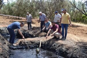 Manisa'nın Salihli il&ccedil;esine bağlı Yağbasan Mahallesi'nde &ccedil;ift&ccedil;i Mustafa Y&uuml;ksel'in zeytin