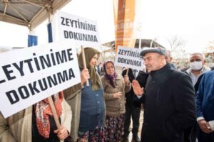 Danıştay 8. Dairesi'nin zeytinlik alanlarda maden faaliyeti yürütülebilmesinin önünü açan yönetmeliğin yürütmesini