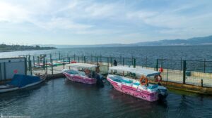 İzmir Büyükşehir Belediyesi tarafından 2022’de bir tekne ile başlayan Flamingo