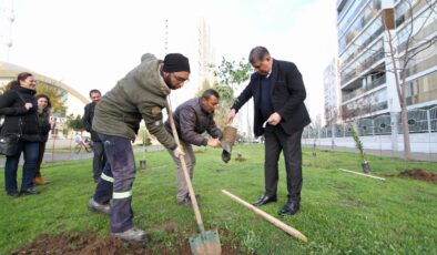 Karşıyaka’da iklim krizine karşı 95 bin ağaç toprakla buluşturuldu!
