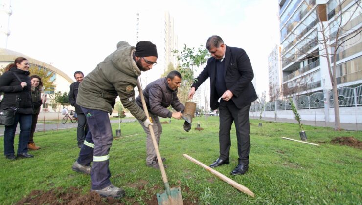 Karşıyaka’da iklim krizine karşı 95 bin ağaç toprakla buluşturuldu!