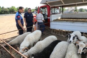 Karşıyaka Belediyesi, iklim krizi ve buna bağlı olarak hızlanan gıda