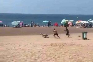 Kurban Bayramı’nın ilk günü Antalya’da yaşanan olaylardan biri, sahibinin elinden