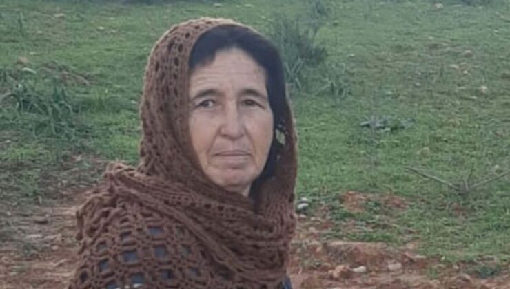 Bodrum’da kayıp olarak aranan kadın, su sarnıcında ölü bulundu