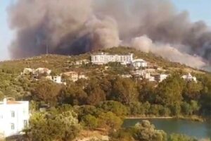 Yangın, saat 16.30 sıralarında Datça’nın Kargı mevkisindeki otluk alanda çıktı.