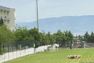 Sosyal medyada gündem olan fotoğrafta Denizlispor’un antrenmanlarını yaptığı Haluk Ulusoy