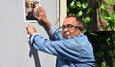 El ilanlarıyla sokak sokak kaybolan köpeğini arıyor… Bulana para ödülü verilecek