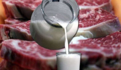 Et ve yoğurt artık lüks oldu… Süt fiyatlarında zam bekleniliyor!