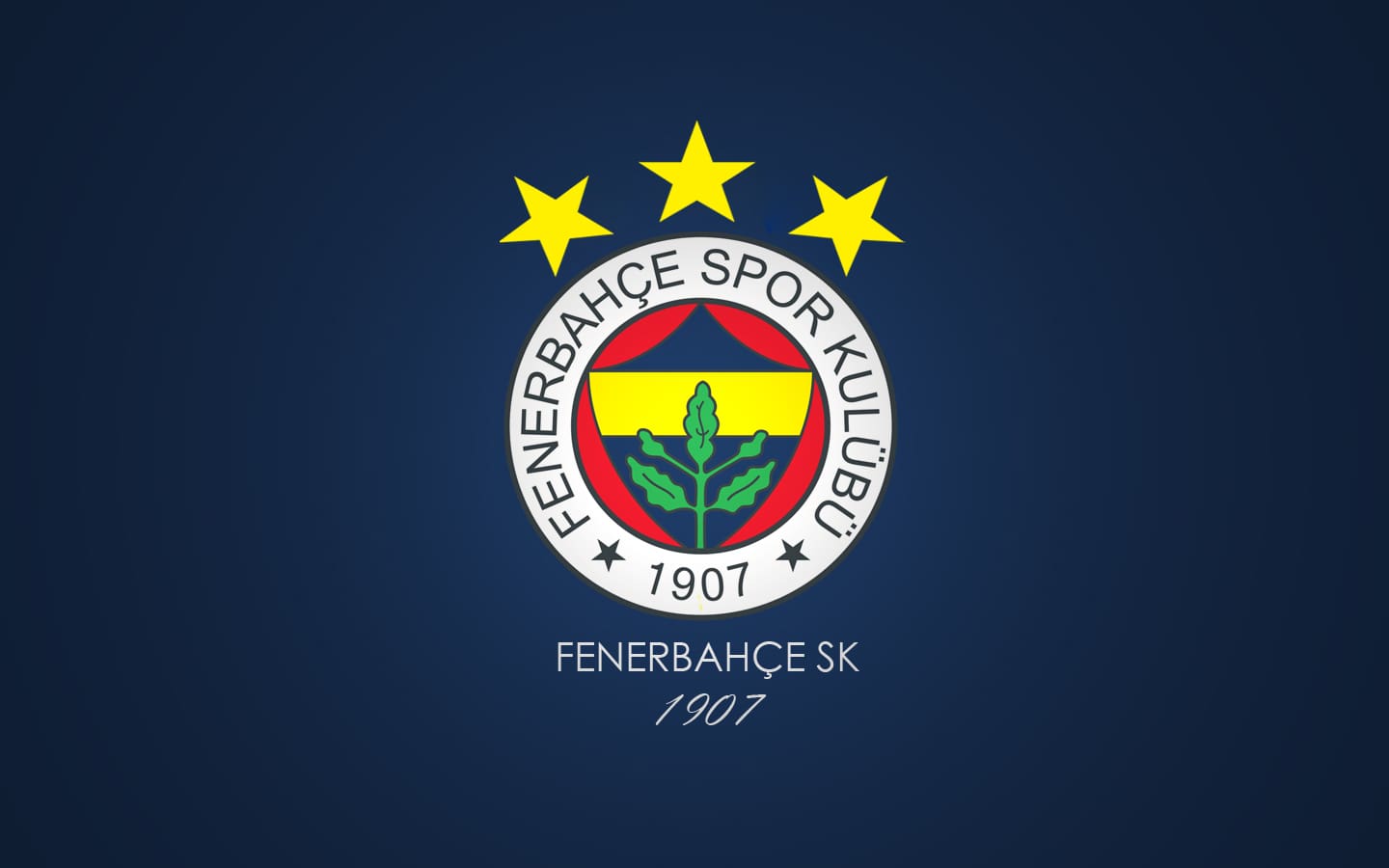 Fenerbahçe, Türkiye’nin en köklü ve başarılı futbol kulüplerinden biridir. Ancak