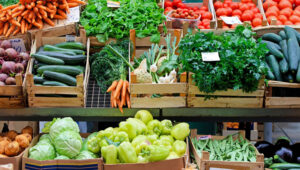 Antalya’nın Gazipaşa Belediyesi’nin internet sitesi üzerinde günlük olarak güncellenen fiyat