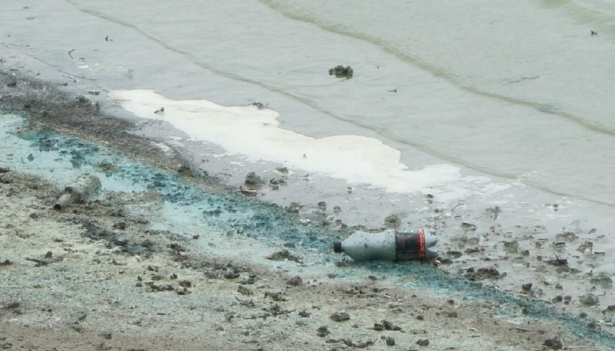 İstanbul’un su kaynaklarından biri olan Sazlıbosna Barajı’nda ortaya çıkan yeşil