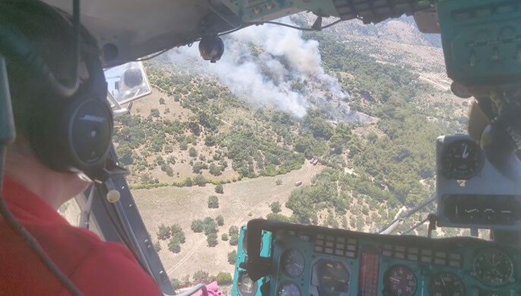 İzmir’de kahreden orman yangını: Etrafı bir anda sardı!