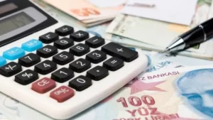 2023 yılının Mayıs ayında Türkiye İstatistik Kurumu (TÜİK), finansal yatırım