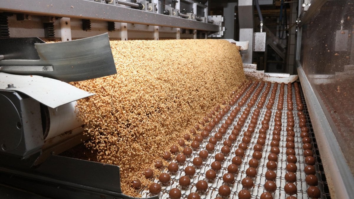 İtalyan çikolata üretici Ferrero'nun fabrikasında bu yıl da salmonella tespit