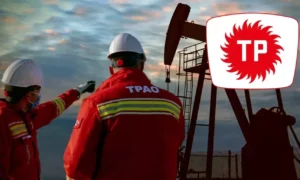 Bik.gov.tr sitesinde yer alan ilana göre, Türkiye Petrolleri Anonim Ortaklığı