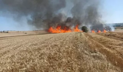 Edirne’de yangın; 30 Dönüm ekili arazi hasar gördü!