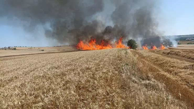 Edirne’de yangın; 30 Dönüm ekili arazi hasar gördü!