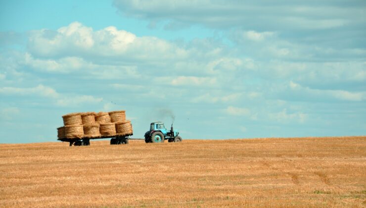 TÜİK’in Tarım Raporu açıklandı: Tarımda üretici enflasyonu kaça yükseldi?