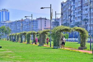 İzmir Büyükşehir Belediyesi’nin bahar aylarında kentin dört bir yanına diktiği